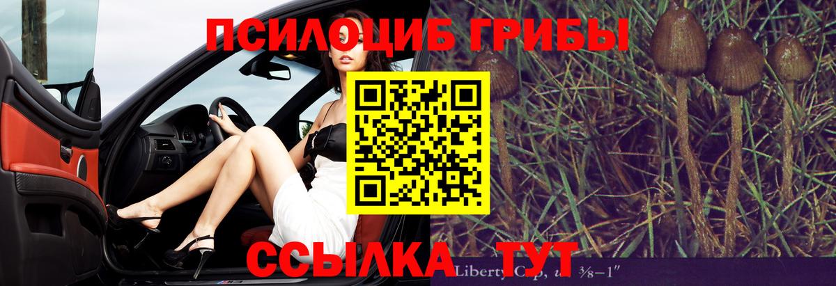 Псилоцибиновые грибы ЛСД Сердобск