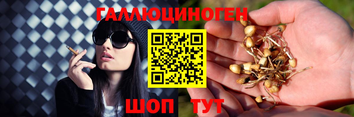 Галлюциногенные грибы GOLDEN TEACHER  Вход с VPN  Сердобск 
